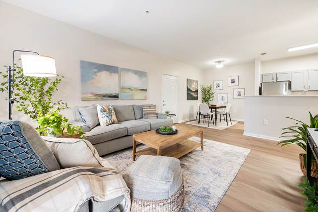 1-bedroom apartment at Evergreen At The Bluffs Apartments in Knoxville, TN